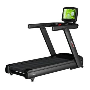 BH Fitness Laufband "Inertia G688"