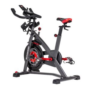 Schwinn Indoor Bike "800IC"